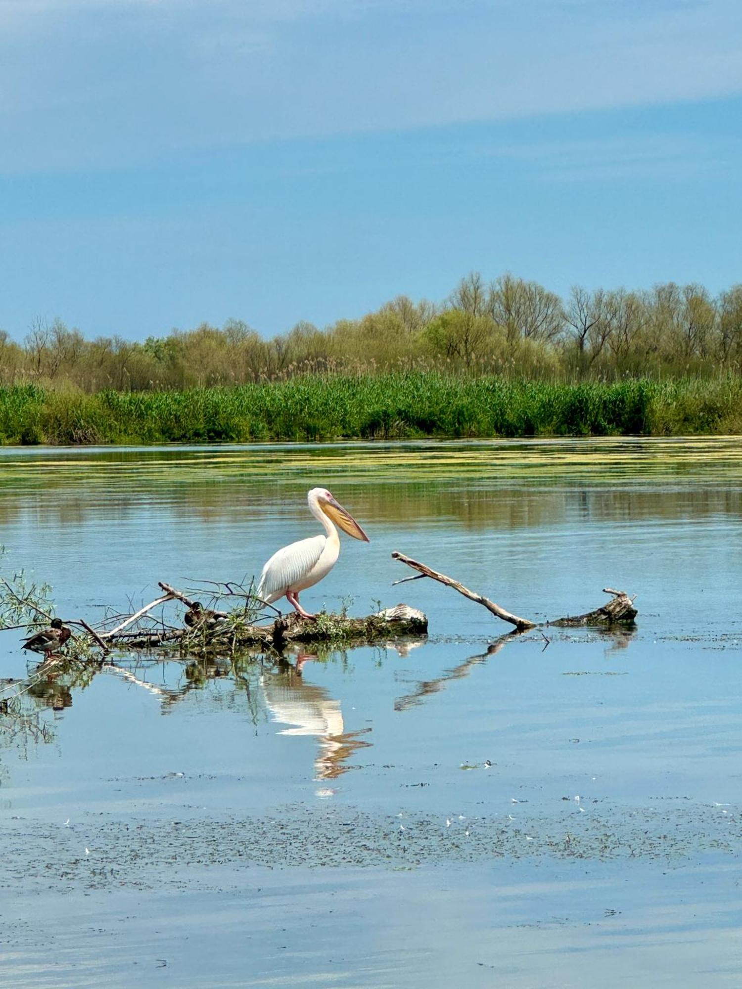 Danube Delta View Hotell Dunavăţu de Jos Eksteriør bilde